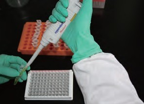 ELISA-